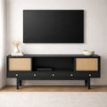 Buttar Rattan TV Unit