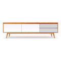 Straight-on image of Haven TV Stand emphasizing minimalist structure and warm wood finish